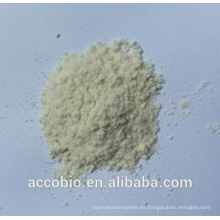 Fuente de fábrica confiable directamente dextranasa / alfa glucanasa con precio favorable